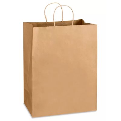 13+7X17 Kraft Paper Twisted Handled Bags